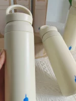 이중벽 500ml 스테인리스 스틸 보온 물병 휴대용 직수형 차 누수 방지 단일 배치 구형 팬 눈 감기 구매