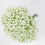 36Pcs 흰색 Babys 호흡 인공 꽃 가짜 Gypsophila 가을 꽃 웨딩 DIY 꽃다발 꽃꽂이 파티 홈 장식 - 이미지 4