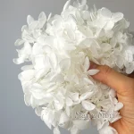 보존 된 수국 꽃 Paniculata 타원형 잎 DIY 재료 홈 웨딩 사무실 장식 크리스탈 접착제 꽃 향기로운 양초 - 이미지 4