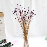 50pcs 말린 꽃 꽃다발 마른 꽃 홈 데코 작은 미니 말린 꽃 꽃다발 장식 사진 사진 배경 장식 - 이미지 6