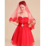 여성을 위한 클래식 레드 신부 결혼식 간단한 긴 레이스 베일 헤드피스 - 이미지 5