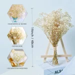 자연 신선한 말린 보존 꽃 Gypsophila paniculata, 결혼식 장식, 가정 장식을위한 아기의 호흡 꽃 꽃다발 선물 - 이미지 4