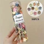 50 개/대 귀여운 머리 발톱 여자를위한 작은 크기 미니 머리핀 헤어 클립 한국어 사이드 클립 Bangs 클립 여성 스위트 헤어 액세서리