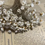 약 150PCS/0.6-1CM 머리, 진짜 말린 자연 흰색 작은 별 꽃, 수지 보석, 가정 장식에 대 한 건조 미니 데이지 꽃다발 - 이미지 2