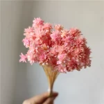 20g 꽃 꽃다발 진짜 말린 꽃 꽃다발 작은 산 꽃 표본 꽃 DIY 재료 홈 테이블 꽃 자연 - 이미지 6