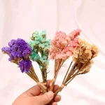 천연 건조 부케, 베이비 브레스 브레스, 신선한 미니 드라이 플라워 프레스, 홈 웨딩 파티 장식, 도매 - 이미지 4