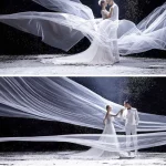 Tulle 웨딩 액세서리 긴 웨딩 베일 신부 헤어 액세서리 Novias 매혹적인 신부 베일 대성당 얼굴 결혼식 5M 10M - 이미지 3