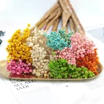 50pcs 말린 꽃 꽃다발 마른 꽃 홈 데코 작은 미니 말린 꽃 꽃다발 장식 사진 사진 배경 장식 - 이미지 4